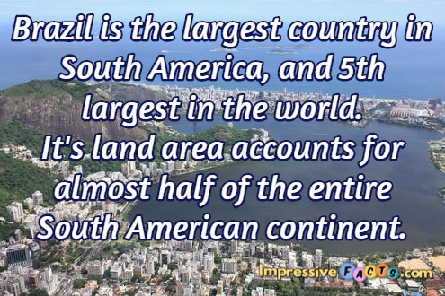 Brazil is the largest country in South America, and 5th largest in the world.