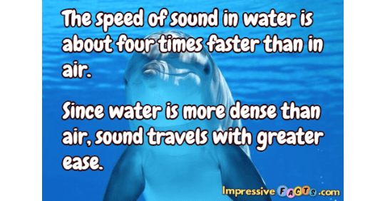 sound travel faster in water than air