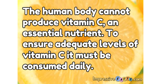 The Human Body Cannot Produce Vitamin C An Essential Nutrient To